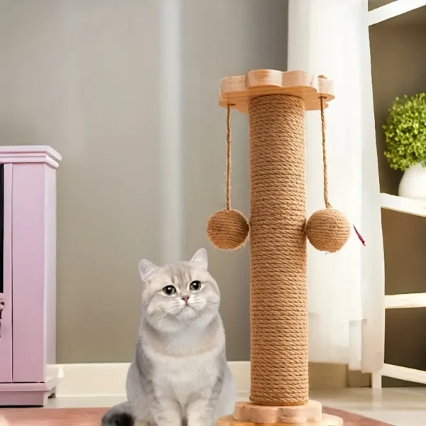 Cat Scratcher
