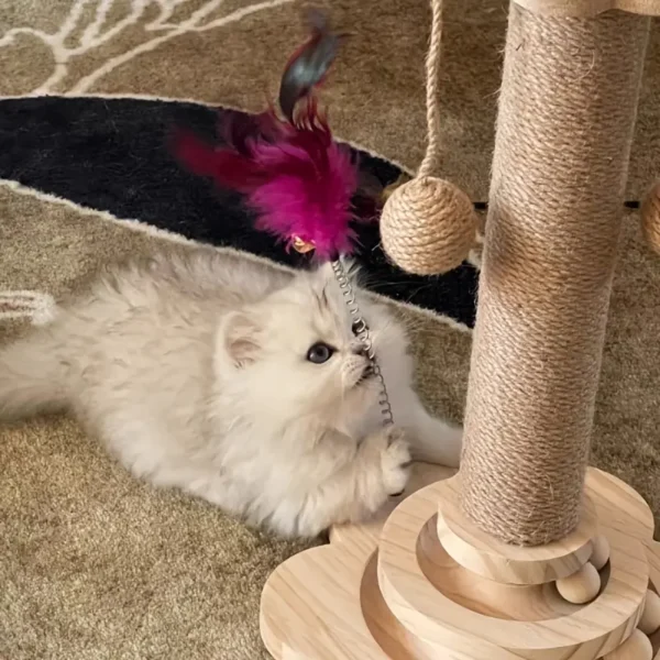 360° Rotating Cat Scratching Post - Image 7
