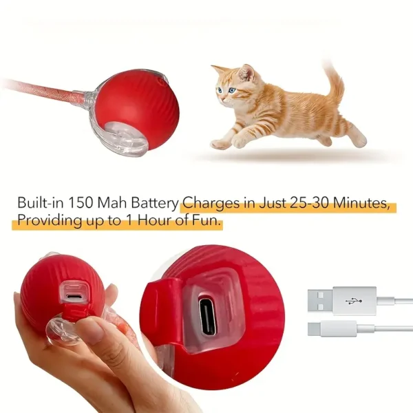 Interactive Rolling Cat Ball Toy - Image 3
