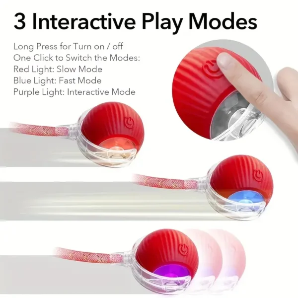 Interactive Rolling Cat Ball Toy - Image 4