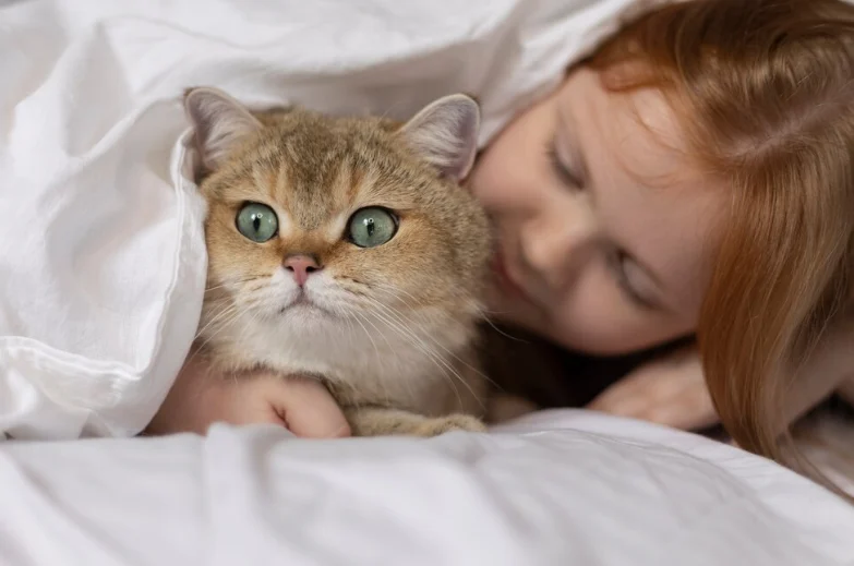 cat affection