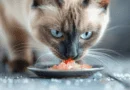 feeding behavior
