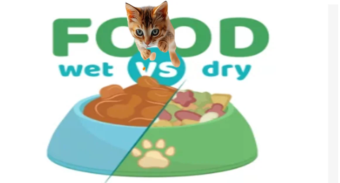 Wet vs. Dry Cat Food