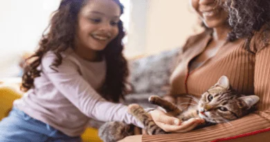 Cat Breeds Suited for Families and Kids