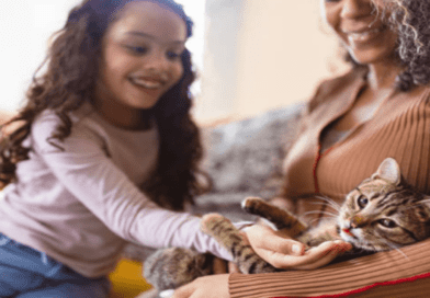 Cat Breeds Suited for Families and Kids