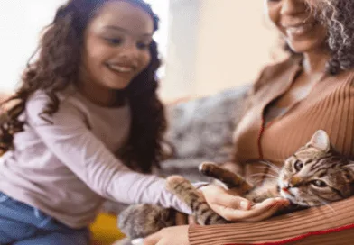 Cat Breeds Suited for Families and Kids Cat Breeds Suited for Families and Kids