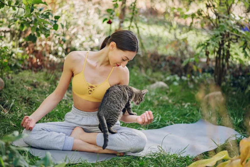 Training cats