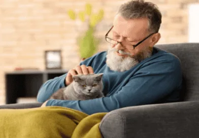 the cats' age