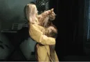 why do cats meow at night