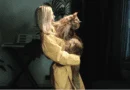 why do cats meow at night