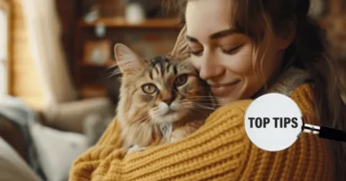 Autumn Care Tips for Your Cat
