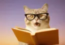 Cats May Learn Words Faster Than Human Babies