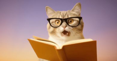 Cats May Learn Words Faster Than Human Babies