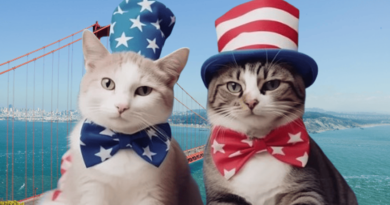 Cats in american folklore
