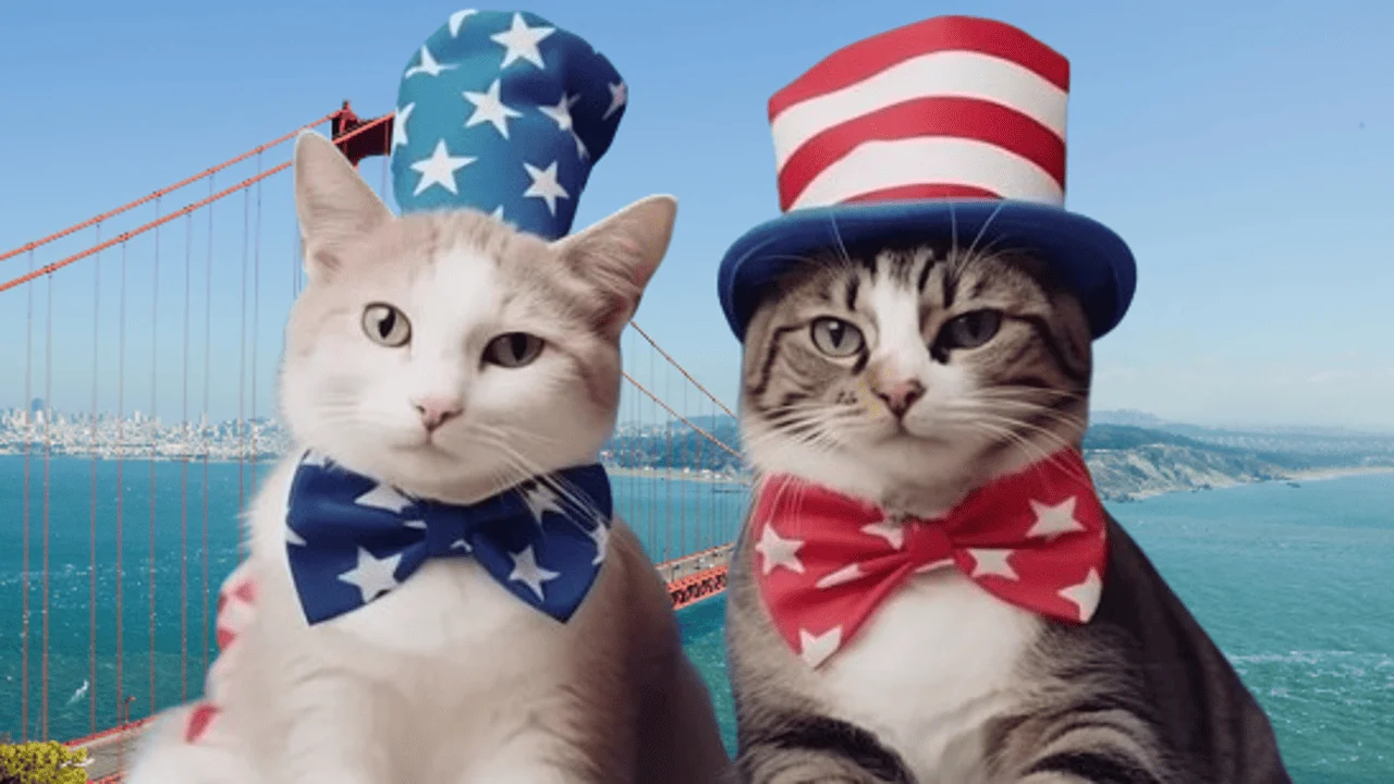 Cats in american folklore