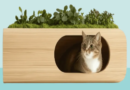 Sustainable Cat Food