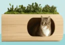 Sustainable Cat Food