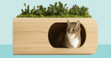 Sustainable Cat Food