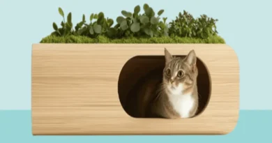 Sustainable Cat Food