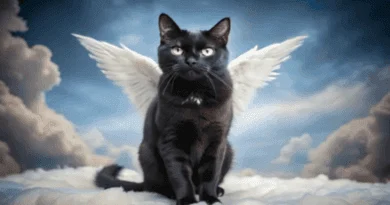 The Sacred Role of Cats in Religion and Spirituality