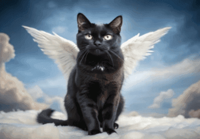 The Sacred Role of Cats in Religion and Spirituality