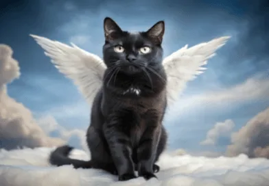 The Sacred Role of Cats in Religion and Spirituality The Sacred Role of Cats in Religion and Spirituality