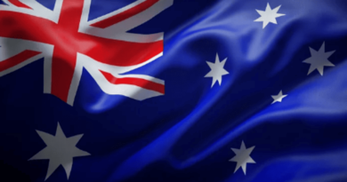 cat cafés in australia