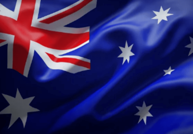 cat cafés in australia