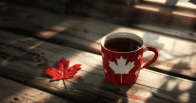 cat cafés in canada