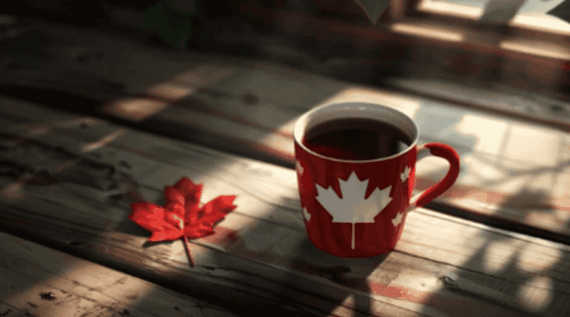 cat cafés in canada