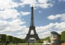 cat cafés in france