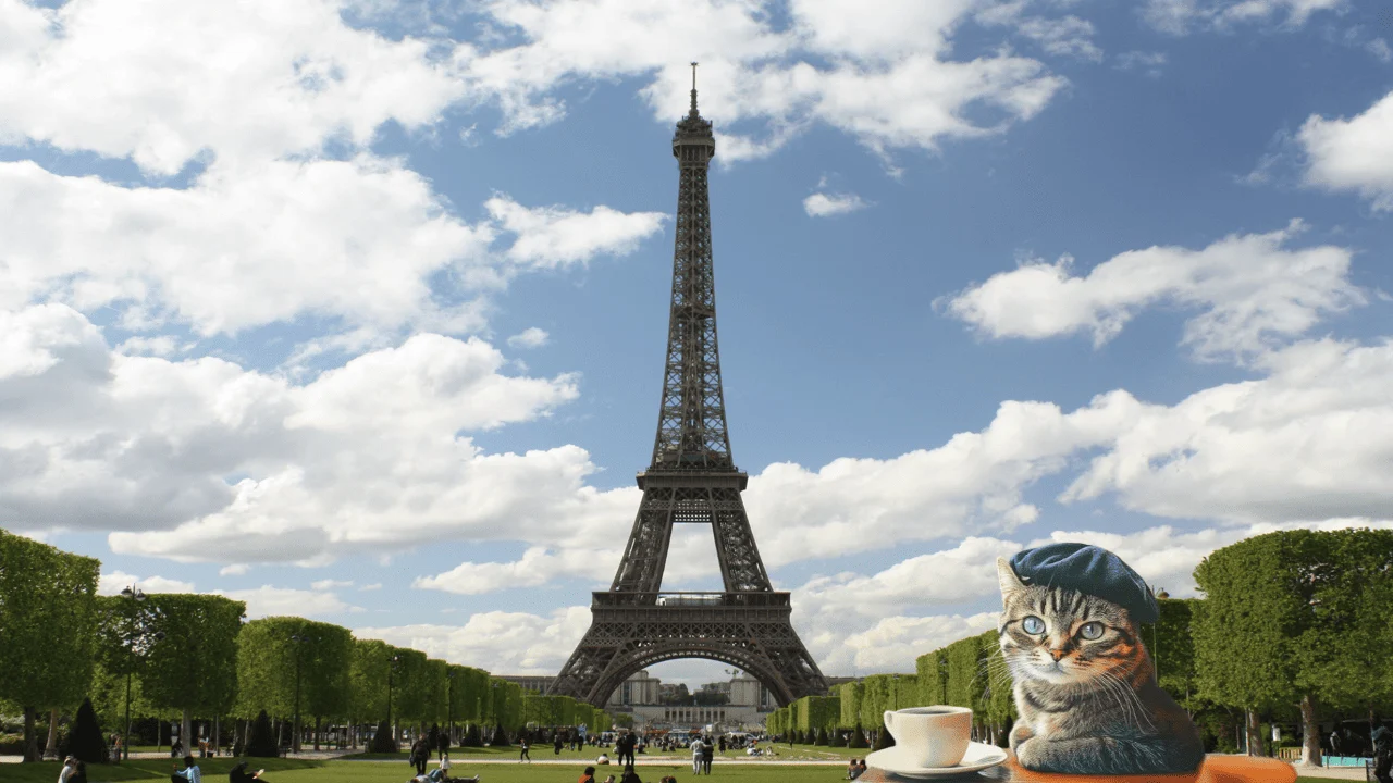 cat cafés in france