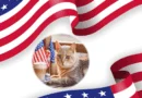 cat cafés in united states