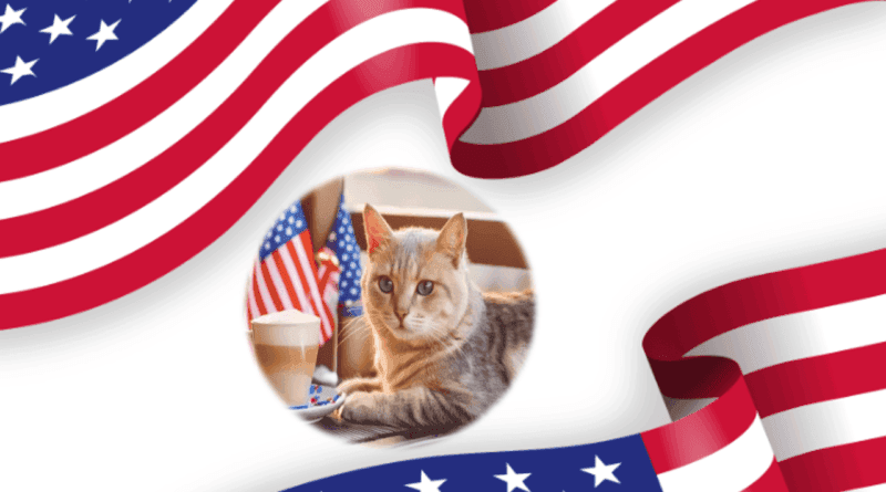 cat cafés in united states