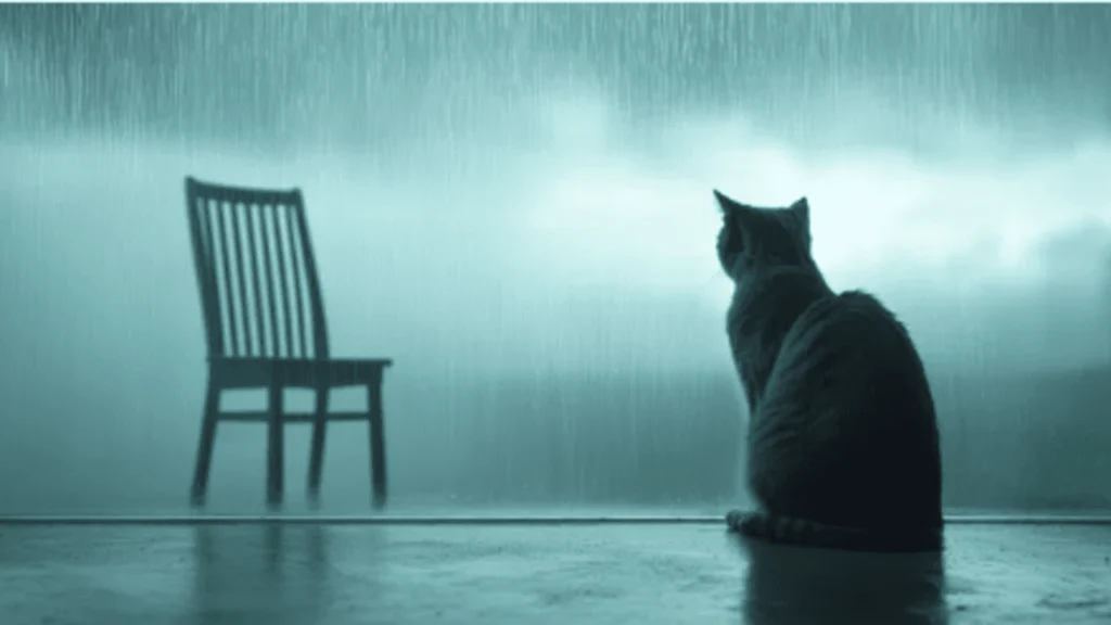 Grief in Felines