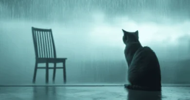 Grief in Felines