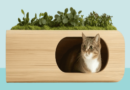 sustainable cat Nutrition