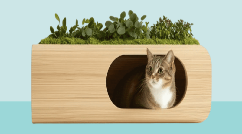 sustainable cat Nutrition