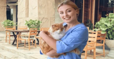 cat vet visits