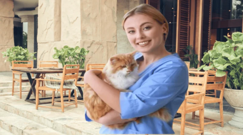 cat vet visits