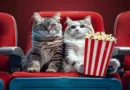The Presence Of Cats In Movies