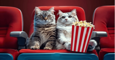 The Presence Of Cats In Movies