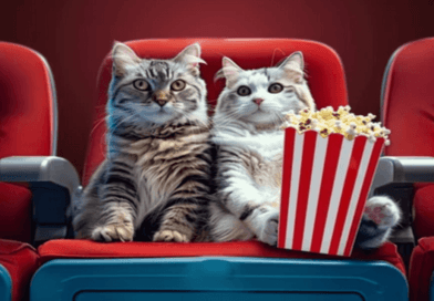 The Presence Of Cats In Movies