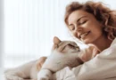 understanding cats lifestyle