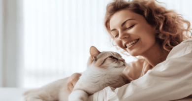 understanding cats lifestyle