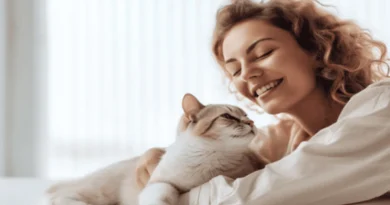 understanding cats lifestyle