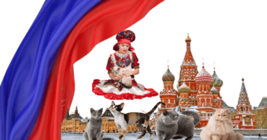 Cats in Russian Folk Beliefs