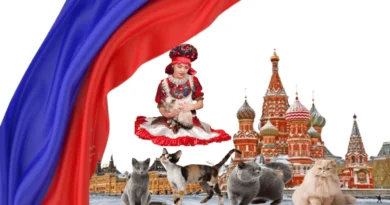 Cats in Russian Folk Beliefs