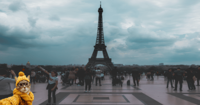 Cats in french floklore