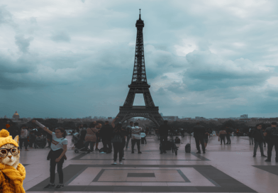 Cats in french floklore